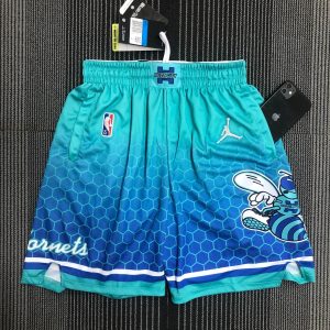 Nike Air Jordan Charlotte Hornets City 2021/22 Jersey Blue – L