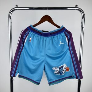 Nike Air Jordan Charlotte Hornets City 2023/24 Shorts Purple / Blue – L