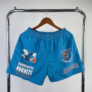 Mitchell & Ness Toronto Raptors Hardwood Classics Shorts Blue – L