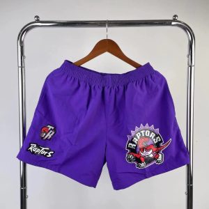Mitchell & Ness Toronto Raptors Hardwood Classics Shorts Purple – L